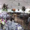 30x50 frame tent fiesta