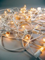 mini string lights rental