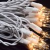 mini string lights rental