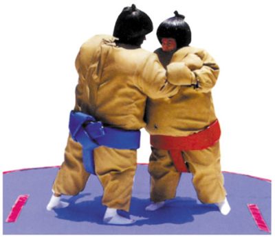Sumo Wrestler Game