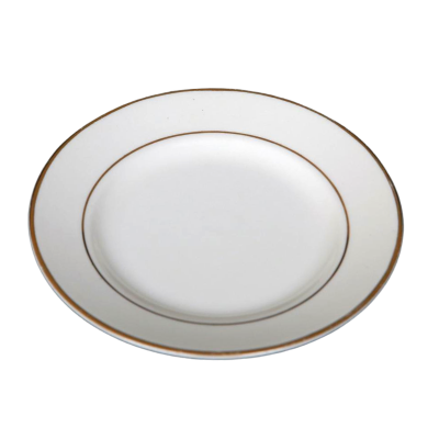 A 10 inch dinner plate with decorative gold rings on and near the edge.