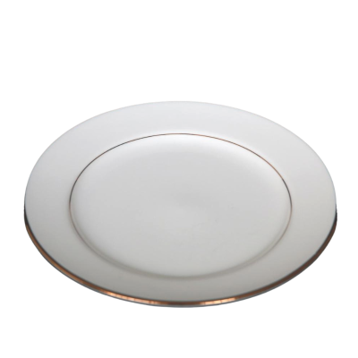 A dinner plate with decorative gold rings on and near the edge.