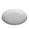 A 10 inch dinner plate with a platinum band around the rim.