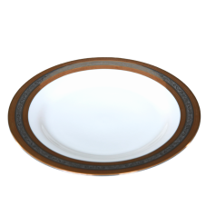 A 10 inch dinner plate with metallic gold and silver rings around the outer edge.