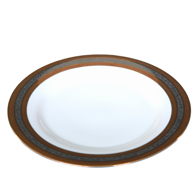 A 10 inch dinner plate with metallic gold and silver rings around the outer edge.