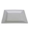 white square 11in dinner plate rental