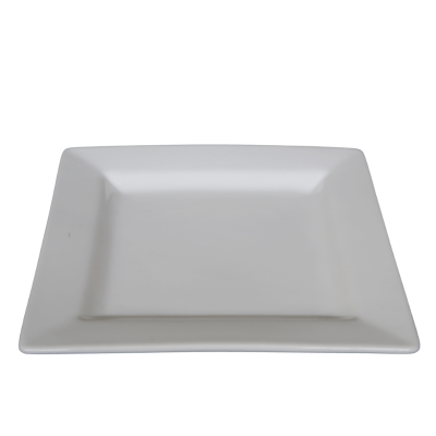 white square 11in dinner plate rental
