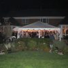 20 wide frame tent