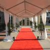 marquee tent red carpet