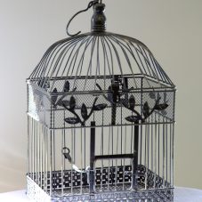 Wedding-Birdcage