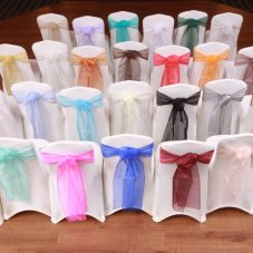 Organza Sash (sheer)