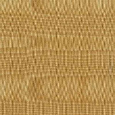 bengaline-camel-linen-rental