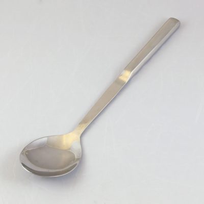 stainless serving spoon 12 in