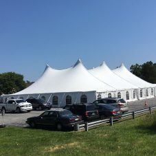 80 x 100 pole tent