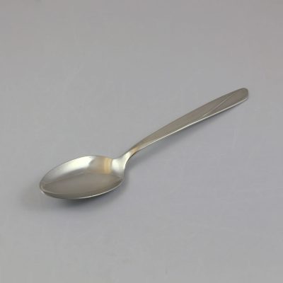 Trivoli 9in stainless steel serving spoon