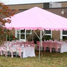 pink tent rental