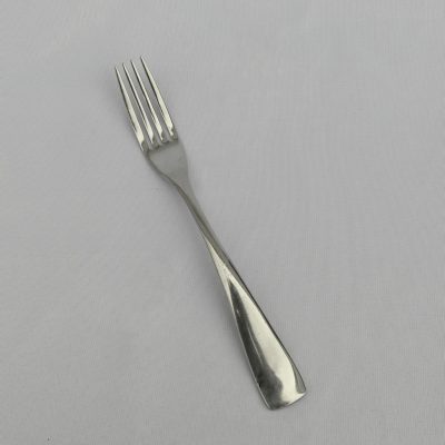 reflection dinner fork