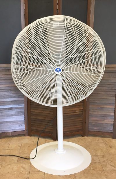 pedestal fan white 30 inch