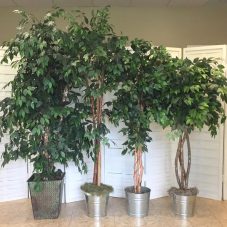 fake faux ficus and bamboo trees