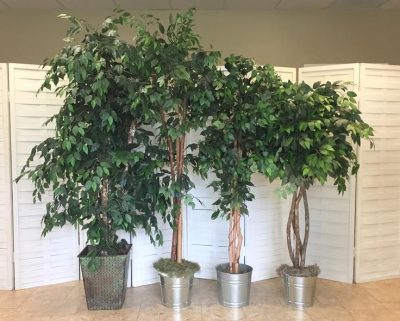 fake faux ficus and bamboo trees
