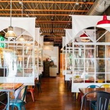 vinyl divider for restaurants and cafeterias