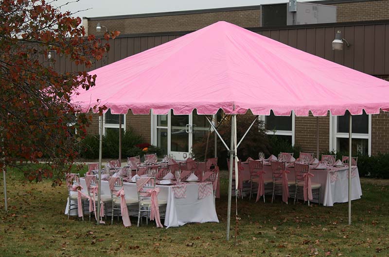 Barbie Themed Tent Setup Silver Crystal Tree Centerpiece 