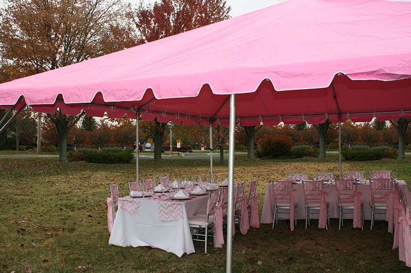 Barbie Themed Tent Setup